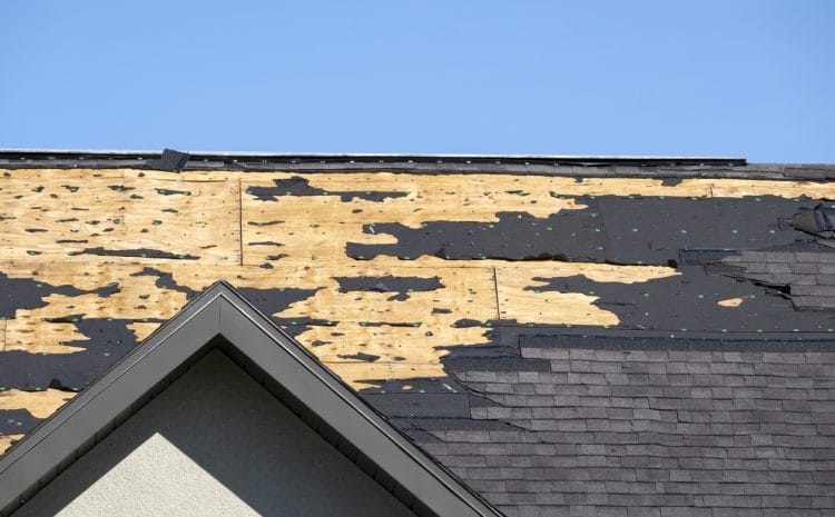  Why Should You Hire Hail Damage Roofing Contractors in Florida?