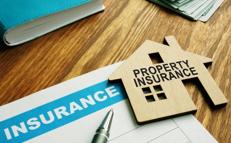  Florida Estate Owners: Understanding the Types of Property Damage Claims