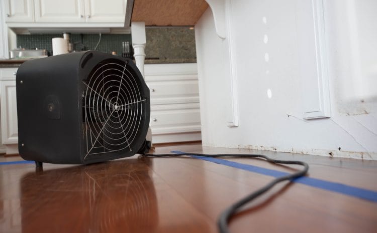 Water Damage Restoration Orlando FL vs. DIY: Why Professional Help Matters