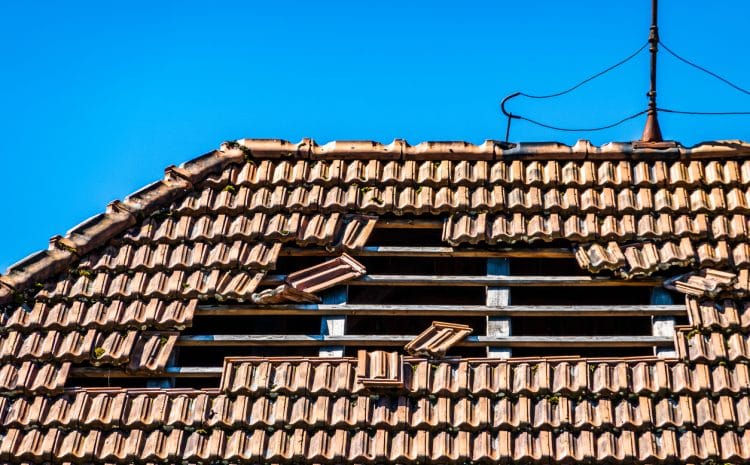 Will Insurance Cover a 20 Year-Old Roof or Deny Your Claim?