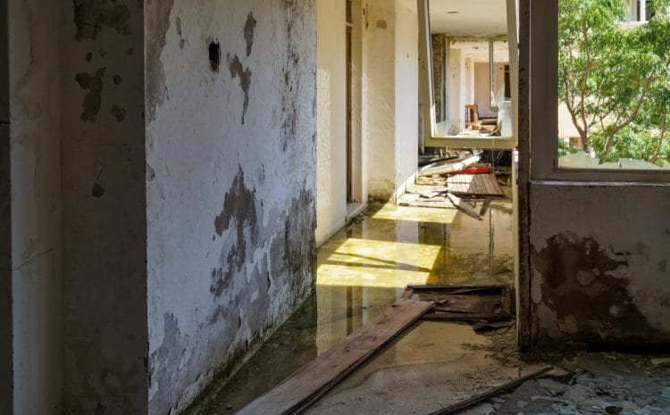  How to File a Successful Claim for Property Damage After a Storm in Florida